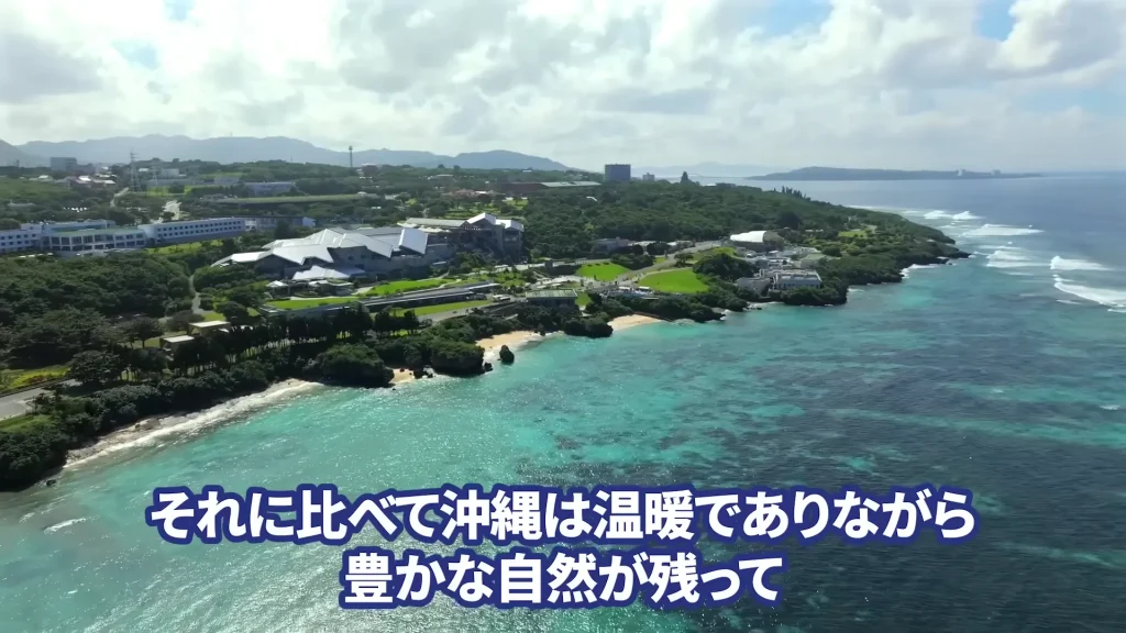 オリオンビールの株価を予想！オリオンビール株の配当は魅力的。オリオンビール株の今後の予想、オリオンビール業界予定情報の酒税廃止予定、オリオンビールの買い方も言及